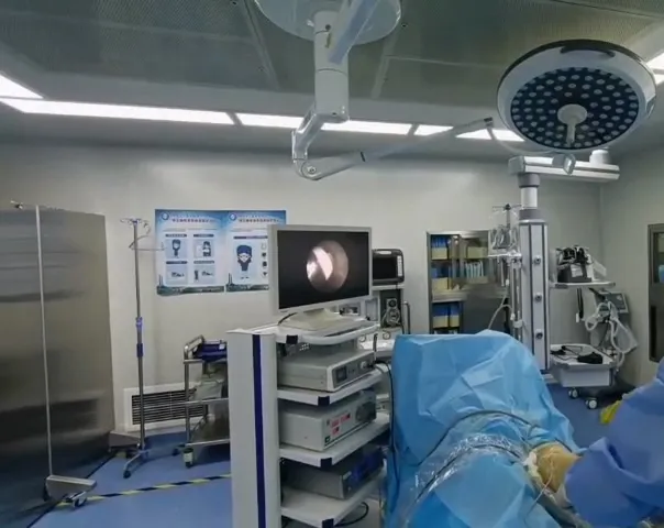 德国费格椎间孔镜